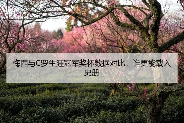 梅西与C罗生涯冠军奖杯数据对比：谁更能载入史册